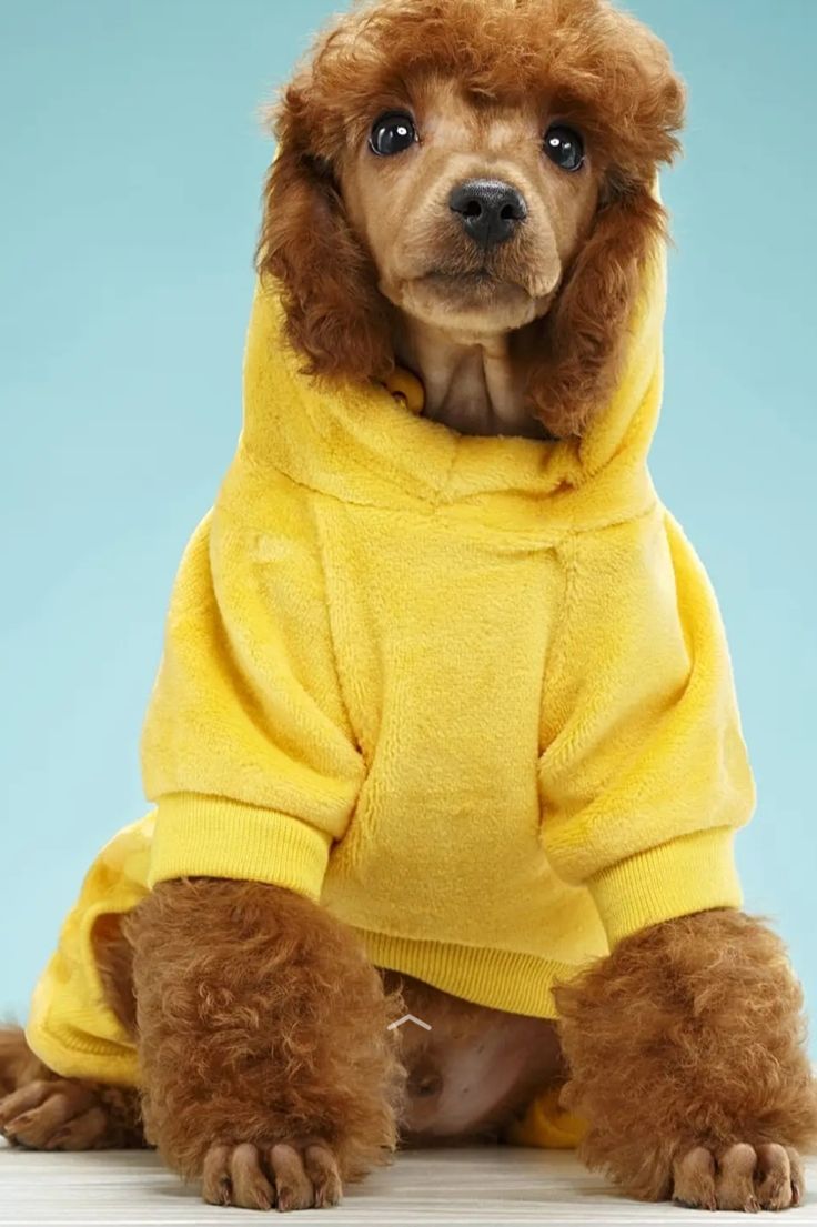 Pet Bathrobe Fast Drying Towel